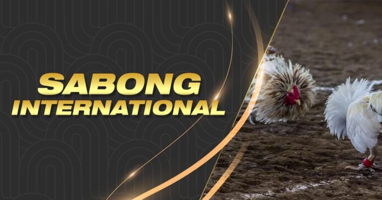 sbet  ph jili slot free 100 no deposit